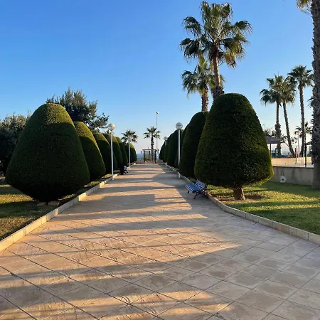 Marta Cabo Roig Alicante Orihuela