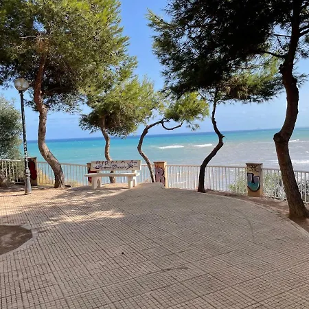 Marta Cabo Roig Alicante *